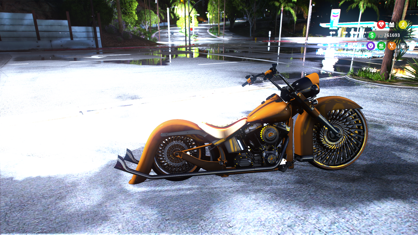 2010 SOFTTAIL
