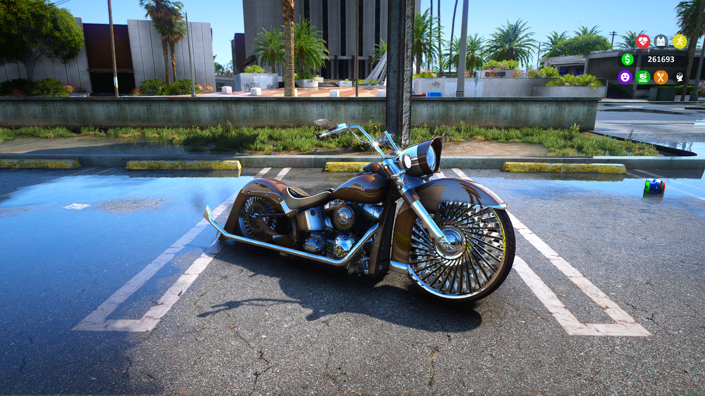 2010 SOFTTAIL