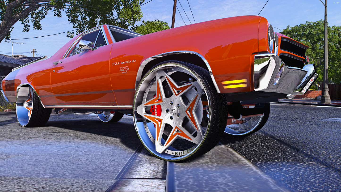 1970 El Camino SS & Chevelle SS