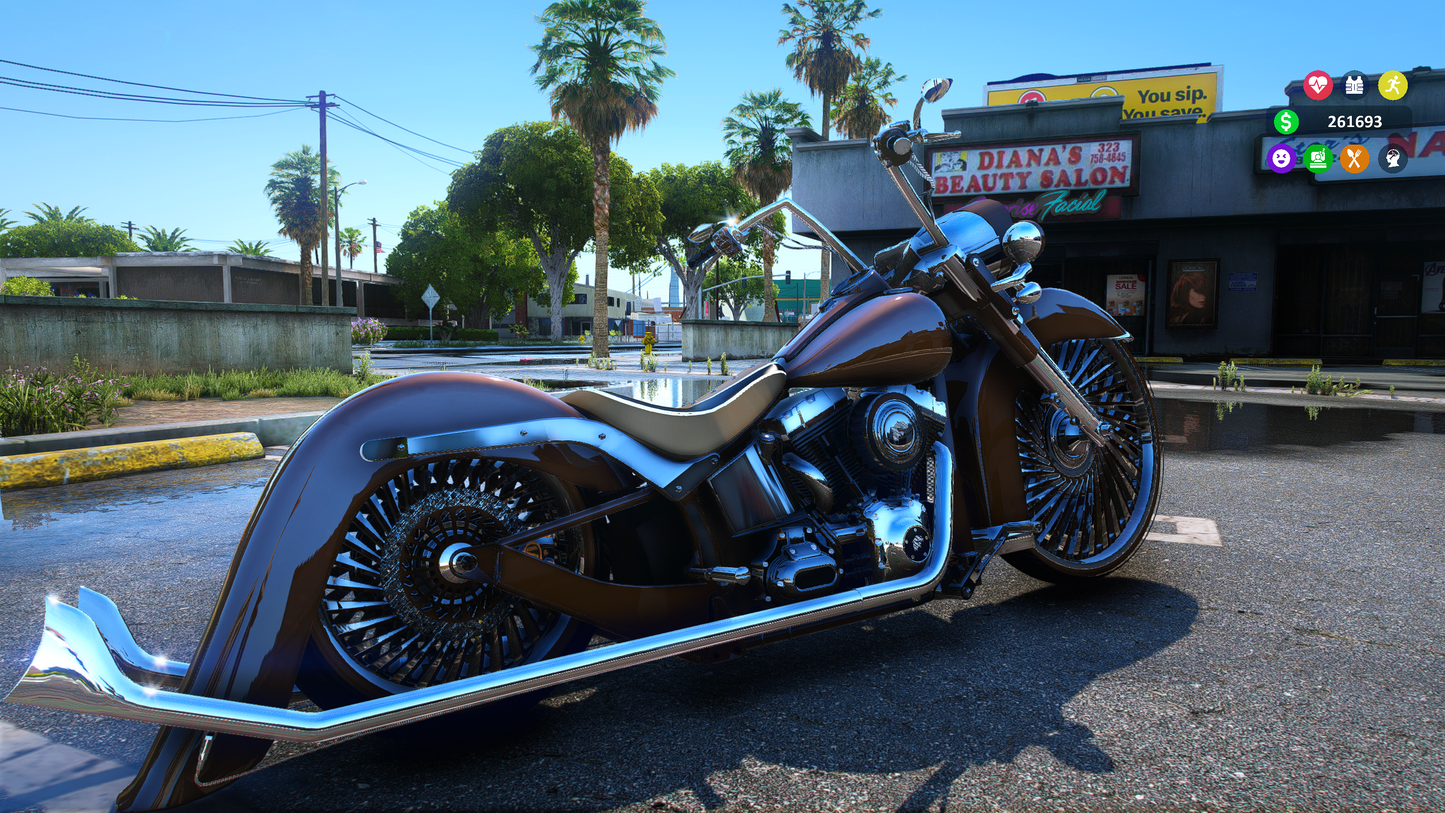2010 SOFTTAIL
