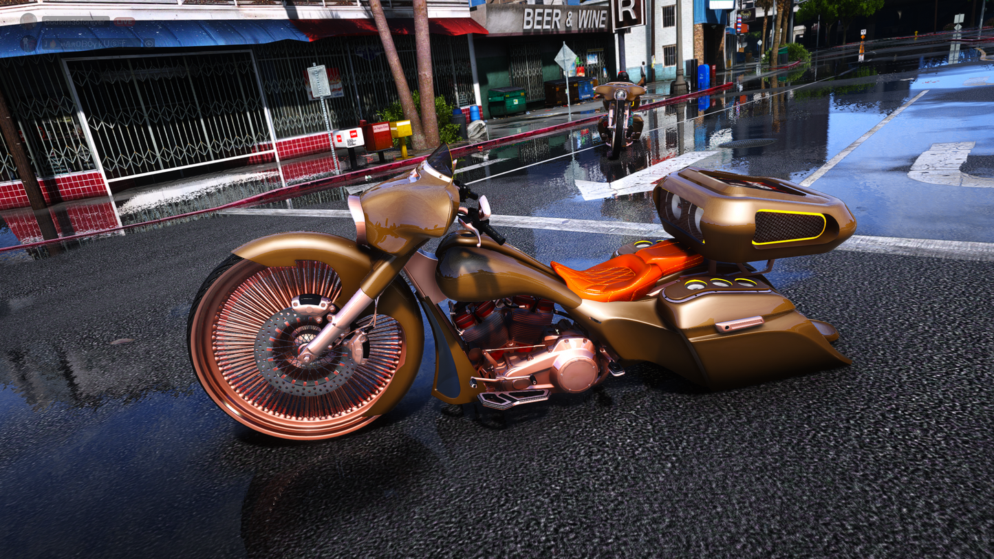 2023 Street Glide in D's