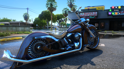 2010 SOFTTAIL